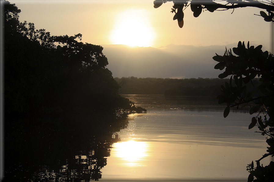 foto Isole Galapagos